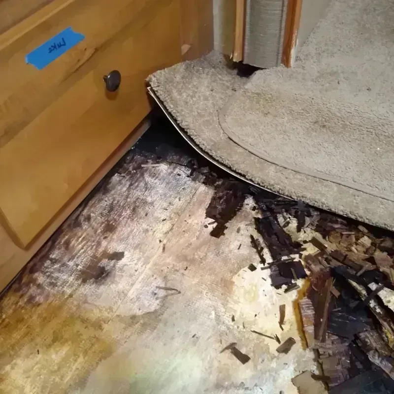 Best Wood Floor Water Damage Service in Carlisle, OH